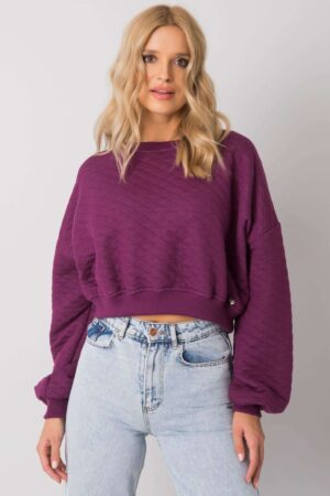 Sweatshirt model 169773 BFG -1